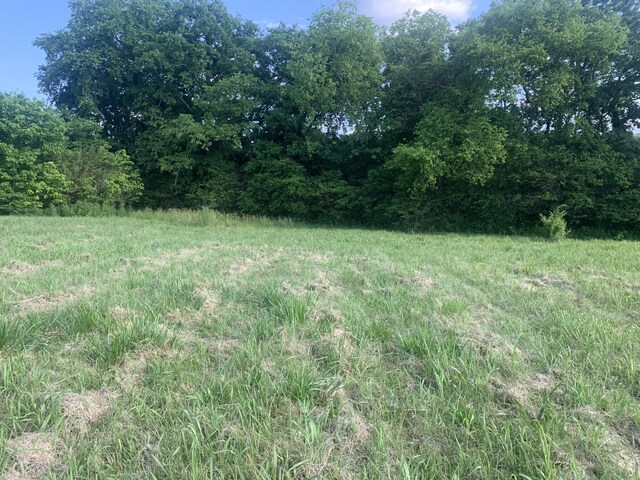 0 Johnson Hill Rd, Mount Pleasant, TN 38474 - photo 4