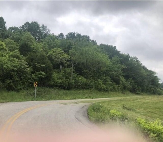 0 Johnson Hill Rd, Mount Pleasant, TN 38474 - photo 7