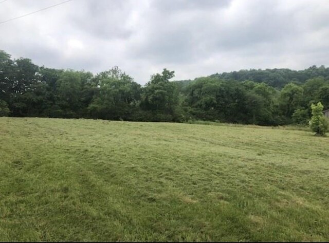 0 Johnson Hill Rd, Mount Pleasant, TN 38474 - photo 6