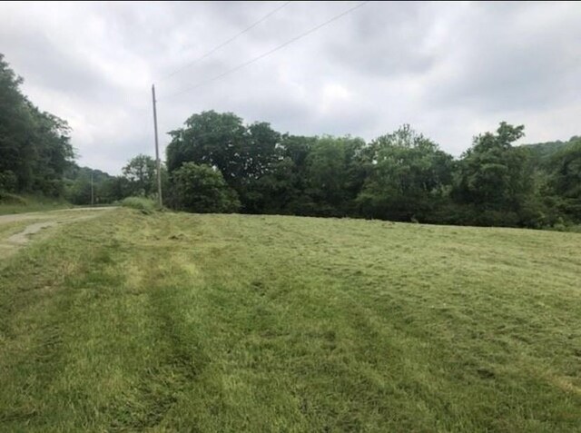 0 Johnson Hill Rd, Mount Pleasant, TN 38474 - photo 8