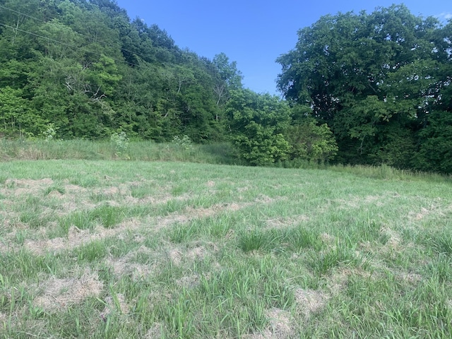 0 Johnson Hill Rd, Mount Pleasant, TN 38474 - photo 1