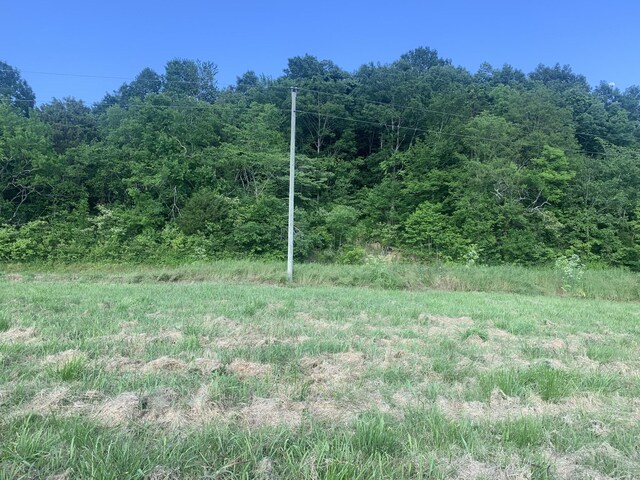 0 Johnson Hill Rd, Mount Pleasant, TN 38474 - photo 5