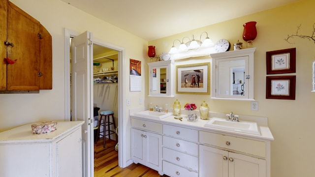 bathroom with vanity and wood-type flooring