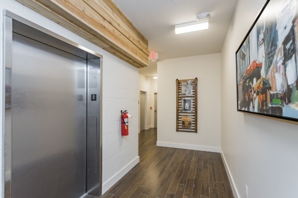 corridor with dark hardwood / wood-style floors and elevator