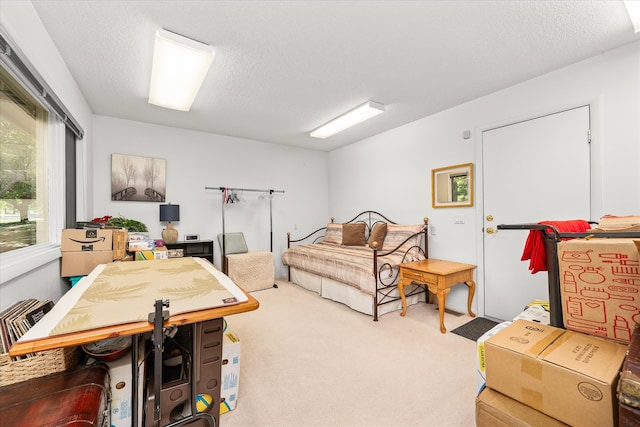 interior space with a textured ceiling and carpet floors