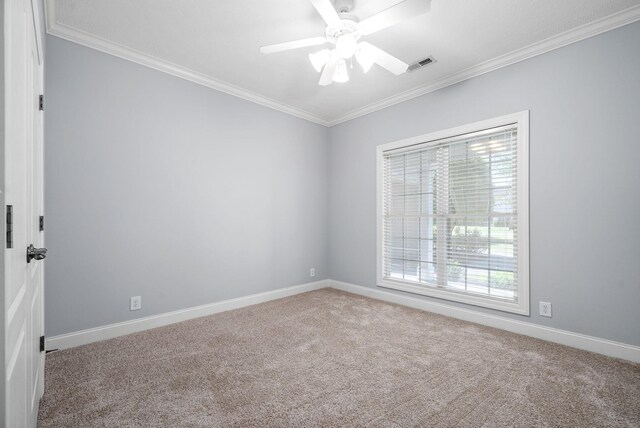 unfurnished room featuring crown molding, ceiling fan, and carpet