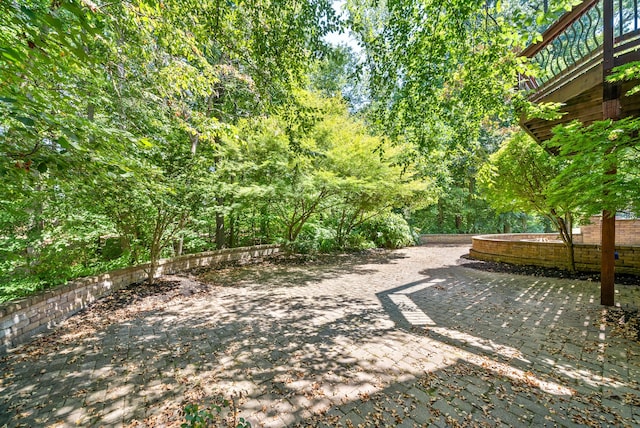 view of yard with a patio