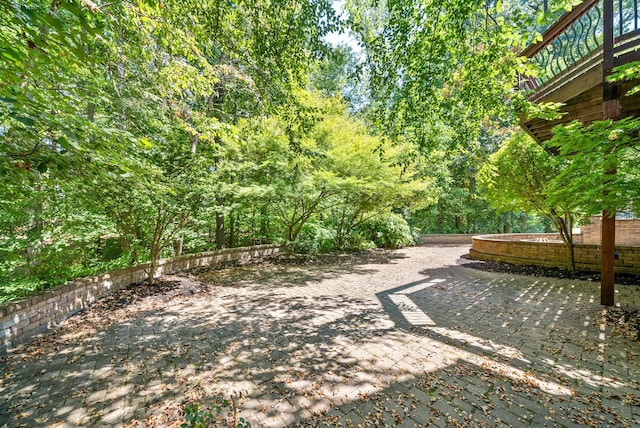 view of yard featuring a patio area