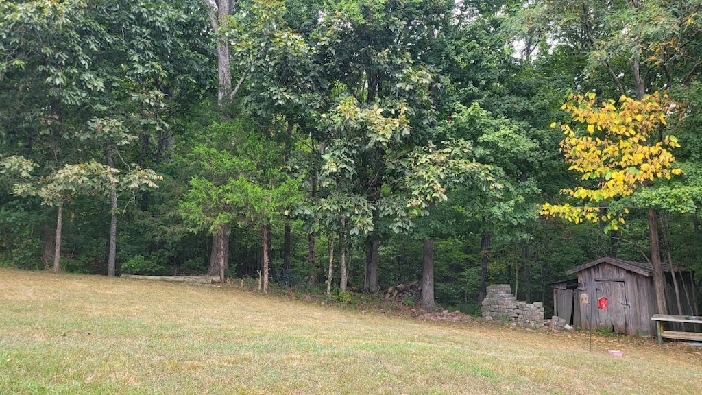 5174 Flat Creek Rd, Spring Hill, TN 37174 - photo 3