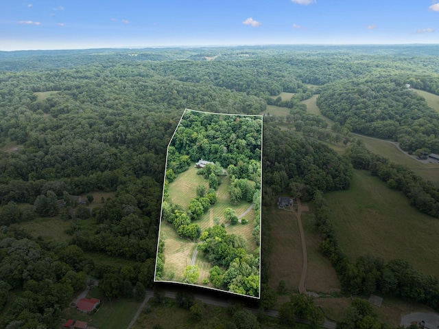 drone / aerial view with a forest view