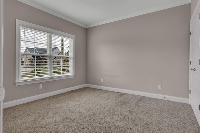 unfurnished room featuring carpet and crown molding