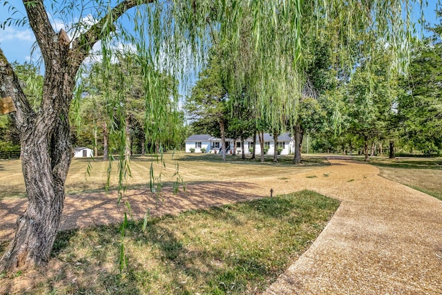 view of property's community with a lawn