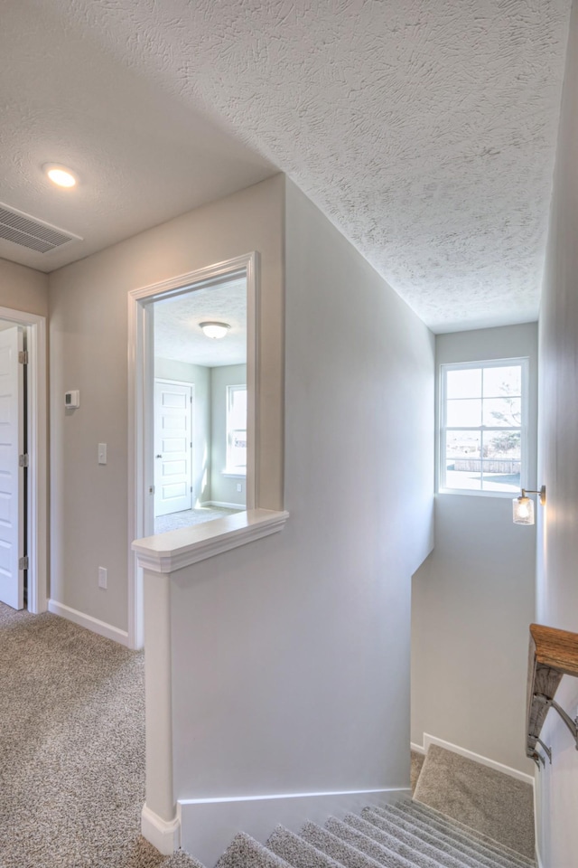 stairs featuring carpet floors and a textured ceiling