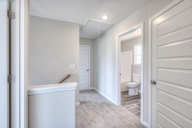 bathroom with toilet and a textured ceiling