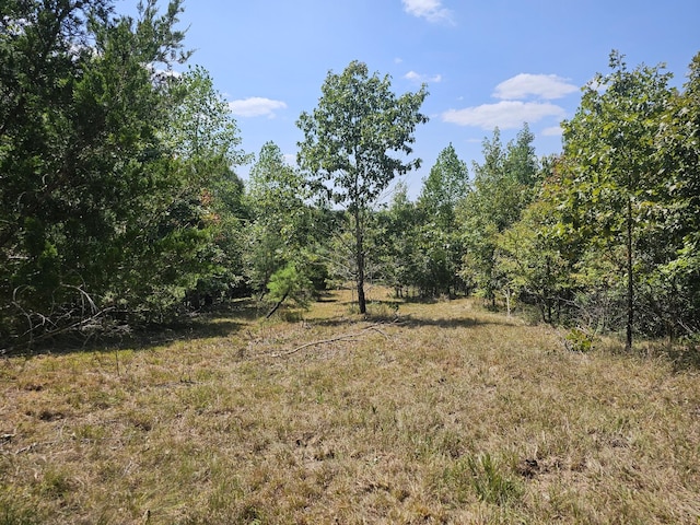 0 Ross Creek Rdg, Clifton, TN 38425 - photo 4