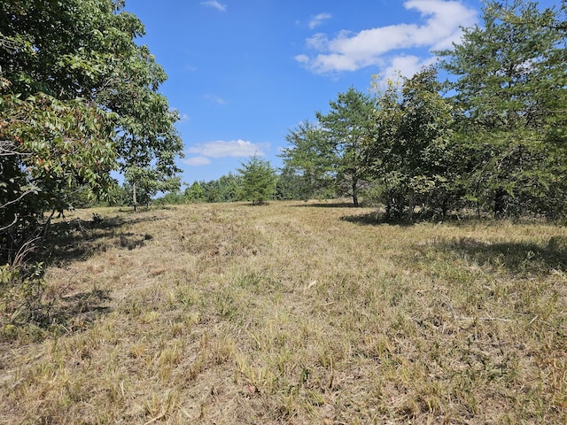 0 Ross Creek Rdg, Clifton, TN 38425 - photo 1