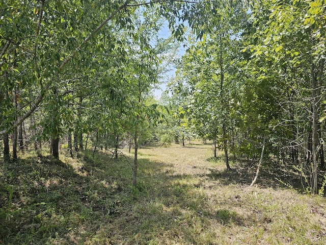 0 Ross Creek Rdg, Clifton, TN 38425 - photo 2