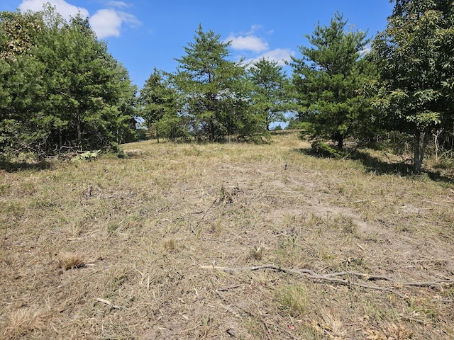 0 Ross Creek Rdg, Clifton, TN 38425 - photo 8