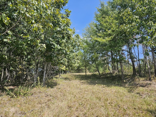 0 Ross Creek Rdg, Clifton, TN 38425 - photo 6