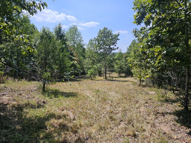 0 Ross Creek Rdg, Clifton, TN 38425 - photo 3