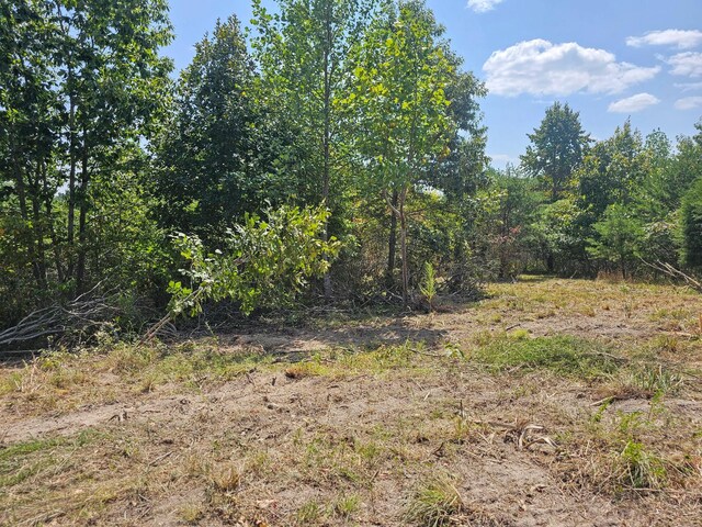 0 Ross Creek Rdg, Clifton, TN 38425 - photo 7