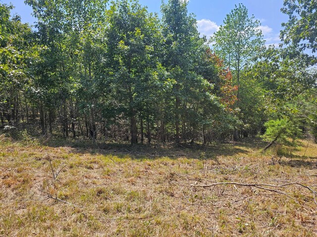 0 Ross Creek Rdg, Clifton, TN 38425 - photo 5