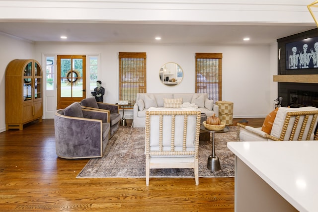 living room with hardwood / wood-style flooring