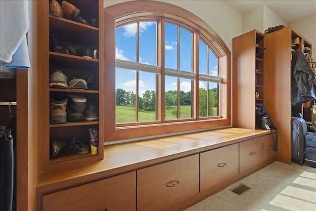 mudroom featuring light carpet