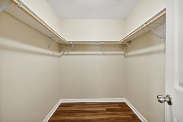 walk in closet featuring dark wood-type flooring