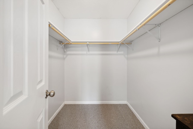 spacious closet with carpet