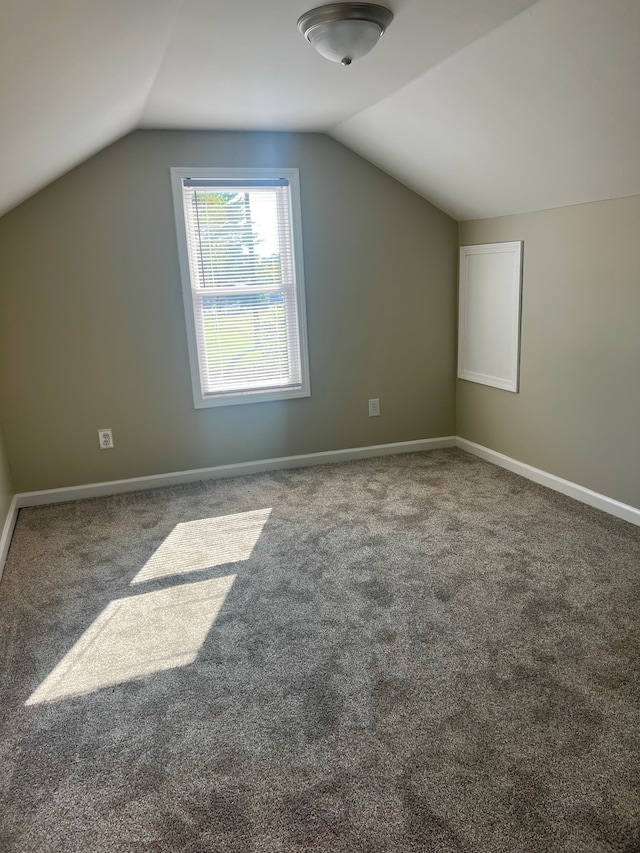 bonus room featuring carpet and vaulted ceiling