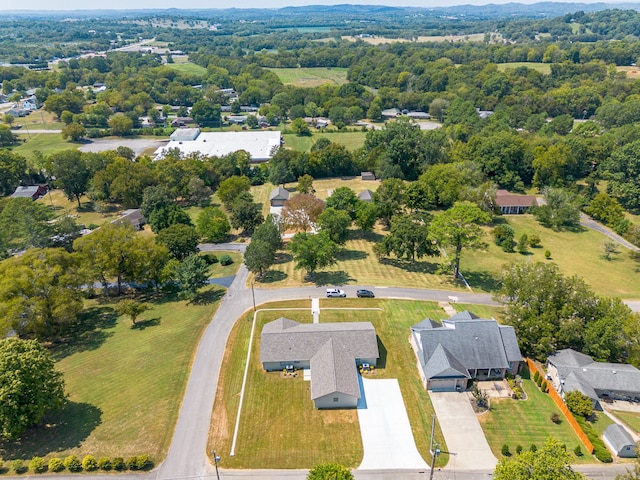 aerial view