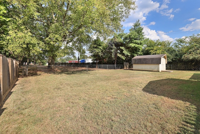 view of yard featuring a storage shed