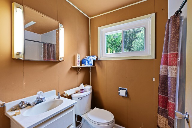 bathroom with walk in shower, toilet, and vanity