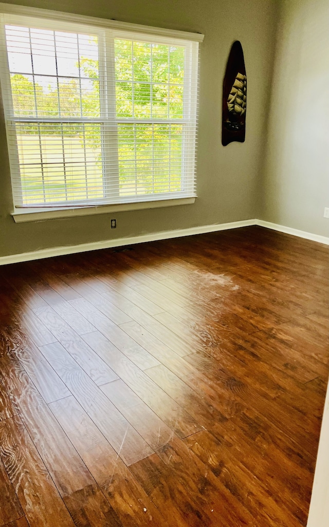 empty room featuring hardwood / wood-style flooring