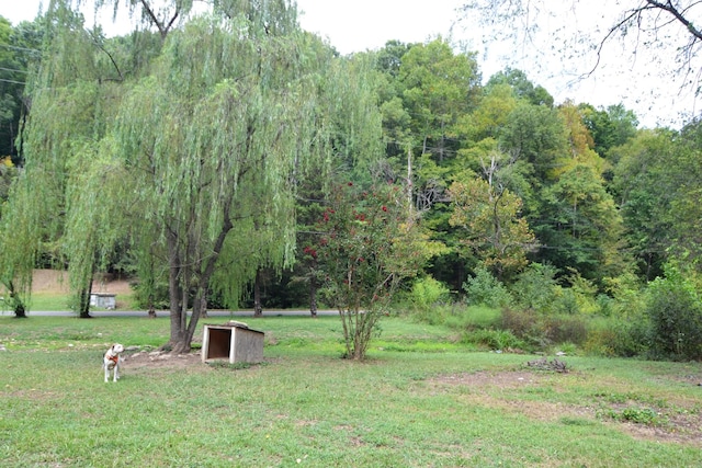 555 Myrick Branch Rd, Pulaski, TN 38478 - view of green lawn featuring a view of trees