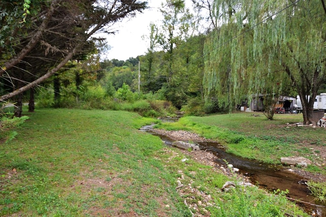 555 Myrick Branch Rd, Pulaski, TN 38478 - view of grassy yard with a wooded view