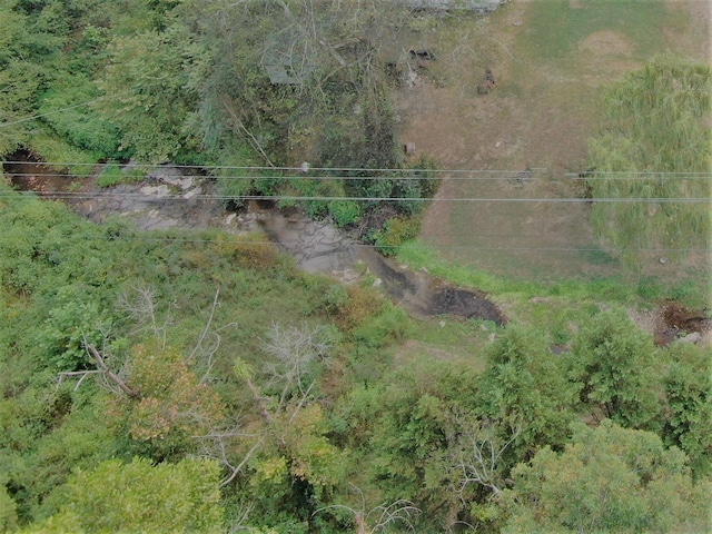 555 Myrick Branch Rd, Pulaski, TN 38478 - bird's eye view