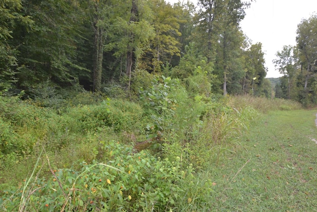 555 Myrick Branch Rd, Pulaski, TN 38478 - view of tree filled area