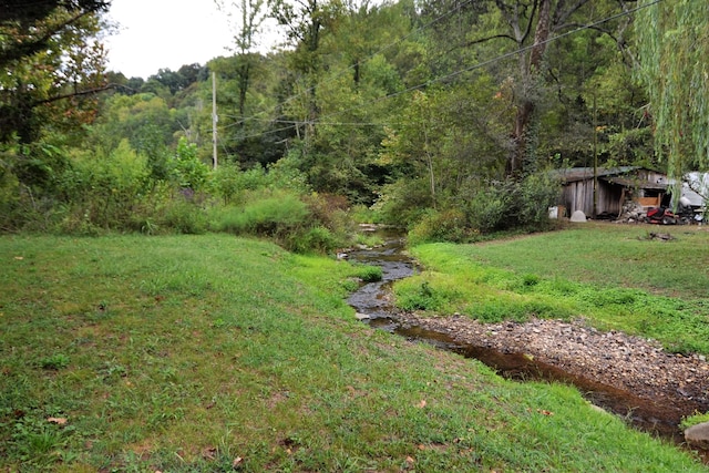 555 Myrick Branch Rd, Pulaski, TN 38478 - view of grassy yard with a view of trees