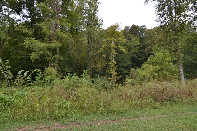 555 Myrick Branch Rd, Pulaski, TN 38478 - view of wooded area