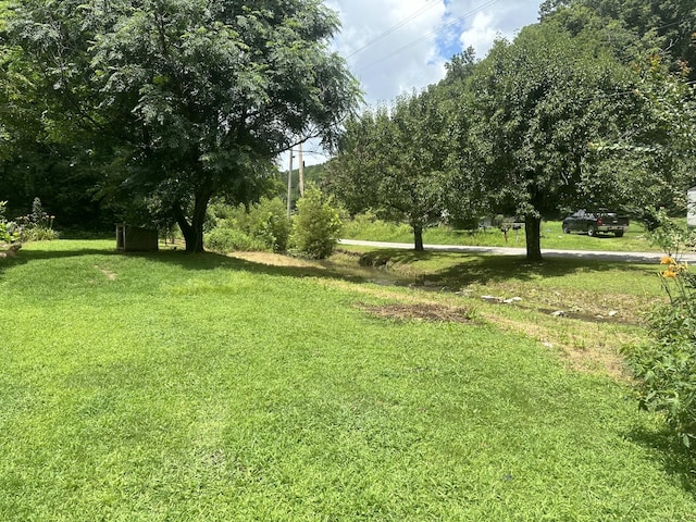 555 Myrick Branch Rd, Pulaski, TN 38478 - photo 36