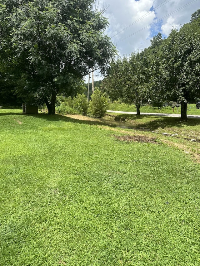 555 Myrick Branch Rd, Pulaski, TN 38478 - photo 35