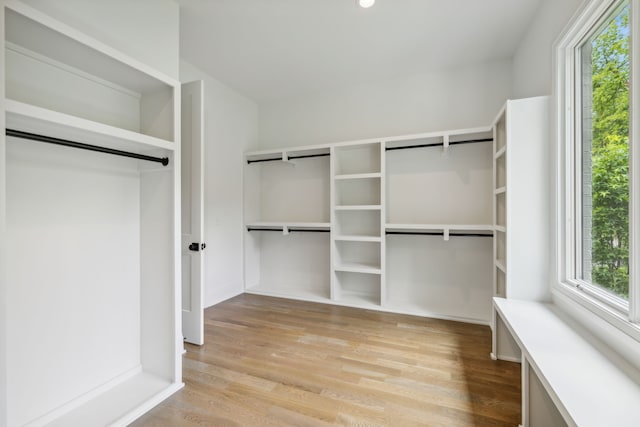 walk in closet featuring light hardwood / wood-style flooring