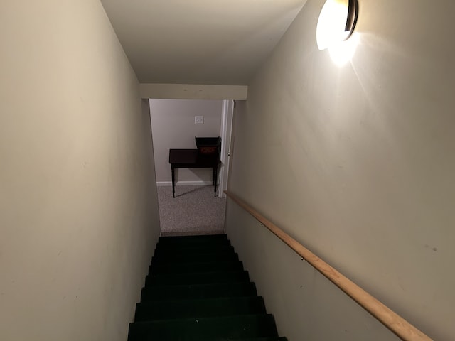 stairway with carpet