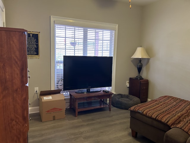 bedroom with wood-type flooring