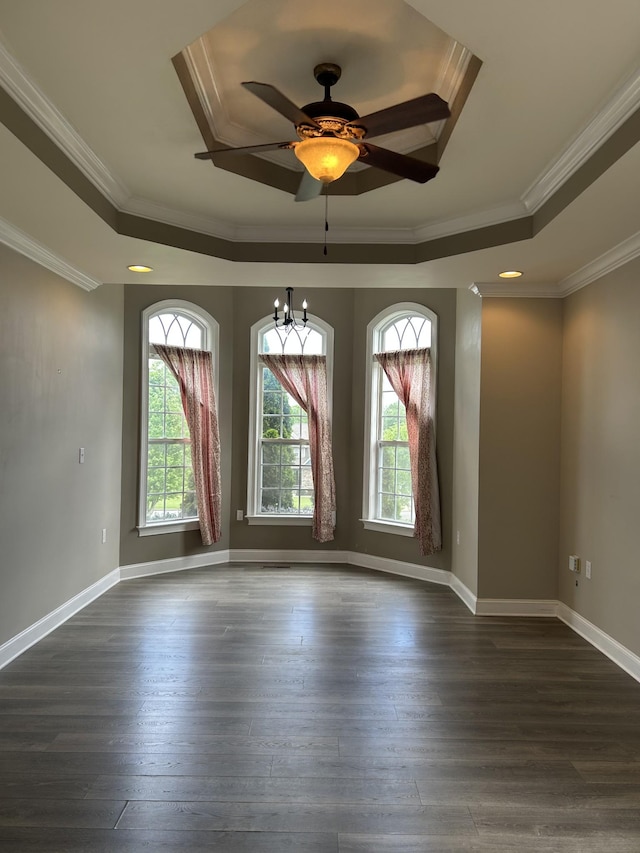 spare room featuring a tray ceiling, crown molding, and a wealth of natural light