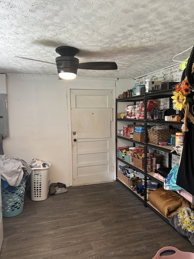 storage room with electric panel and ceiling fan