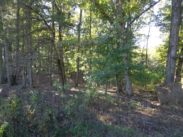 0 Halls Creek Rd, Waverly, TN 37185