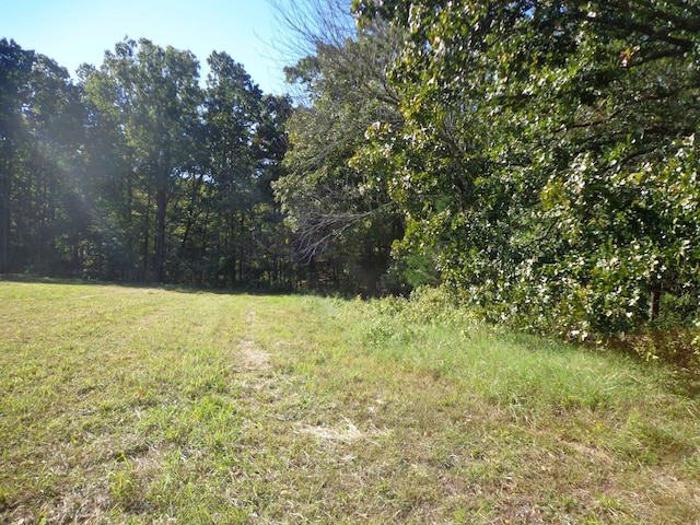 0 Halls Creek Rd, Waverly, TN 37185